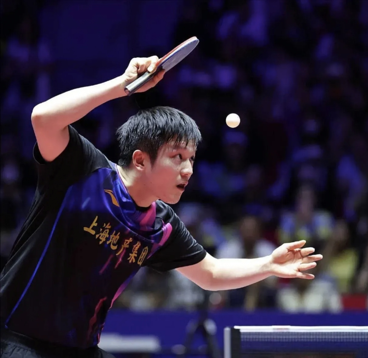九游中国-瑞典队完胜葡萄牙队，樊振东惊艳四座的简单介绍