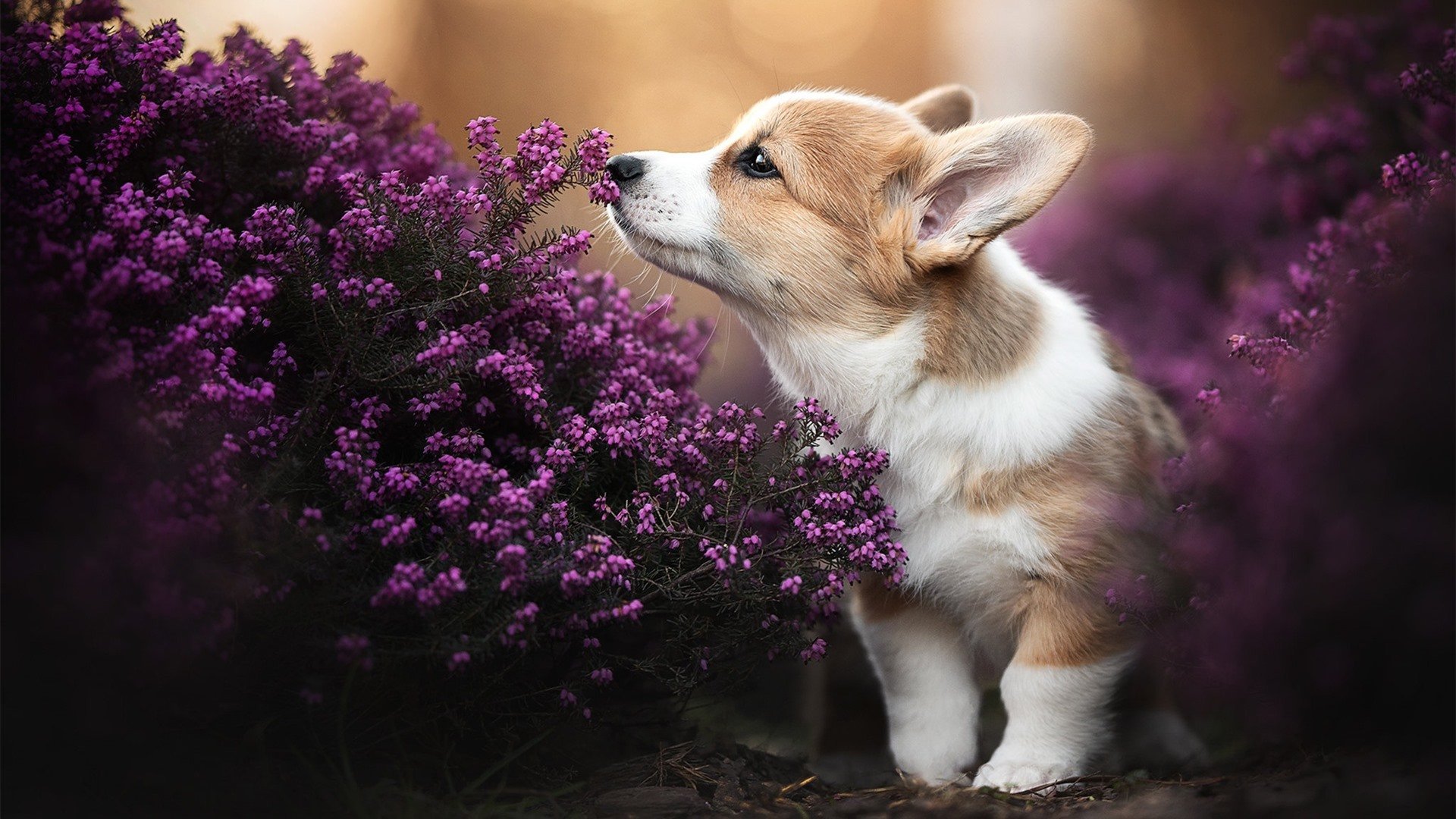 欧冠决赛启示录，魔术轻取背后，现代竞技的冰山法则