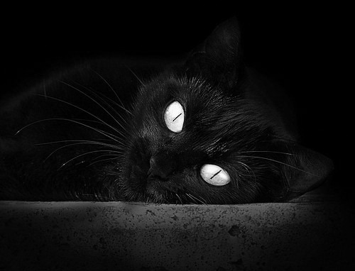 个人独奏与团队交响，英格拉姆的节奏魔法如何被独行侠的钢铁洪流破解？