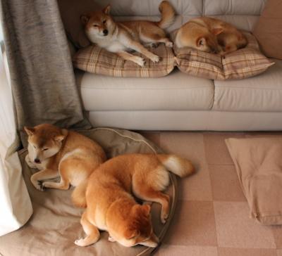 布伦森关键先生显威，76人一波流带走森林狼