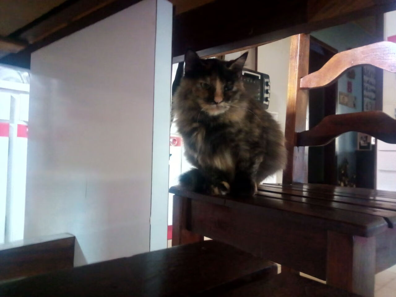 夜战星光,布伦森连击定乾坤—记一场扭转赛季走势的意甲焦点战