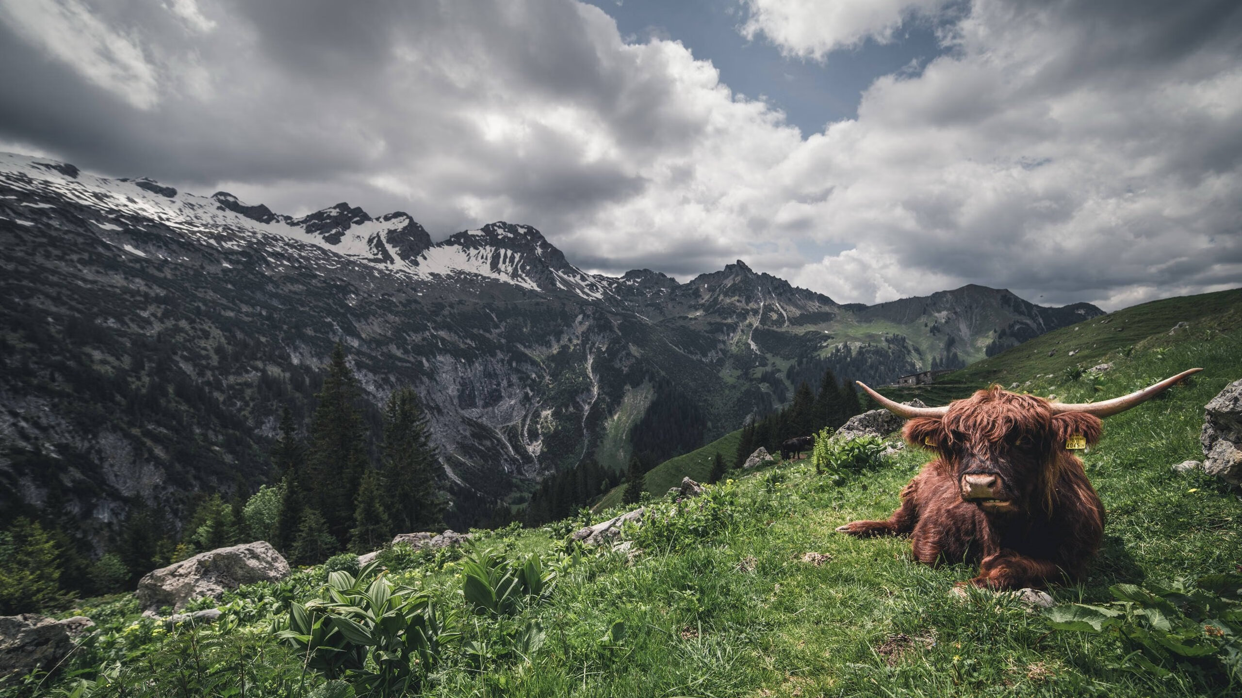 九游娱乐网站-魔术险胜活塞，莫兰特末节爆发定乾坤