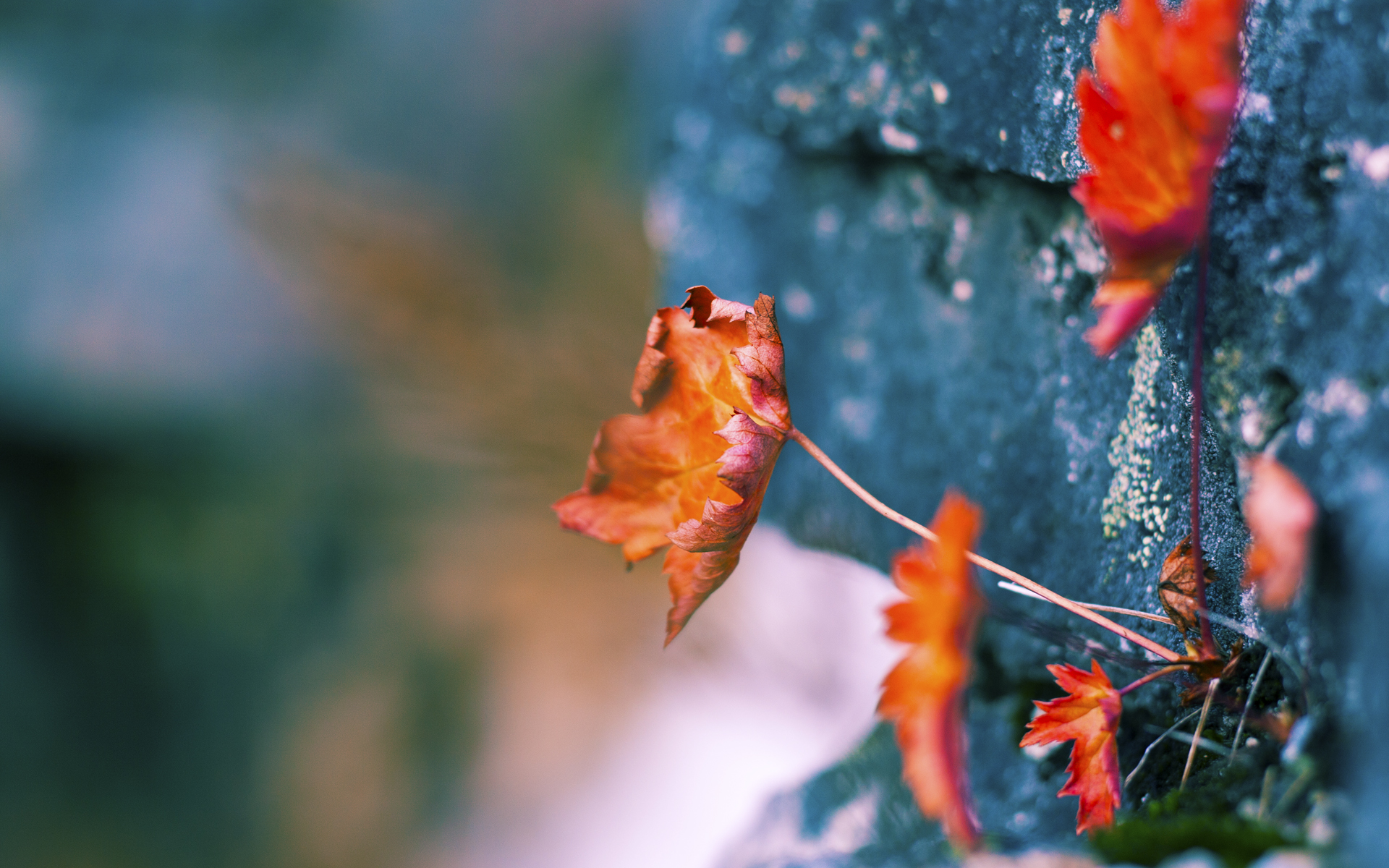 异国光芒,萨拉赫一剑封喉,贝蒂斯爆冷击溃格子军团