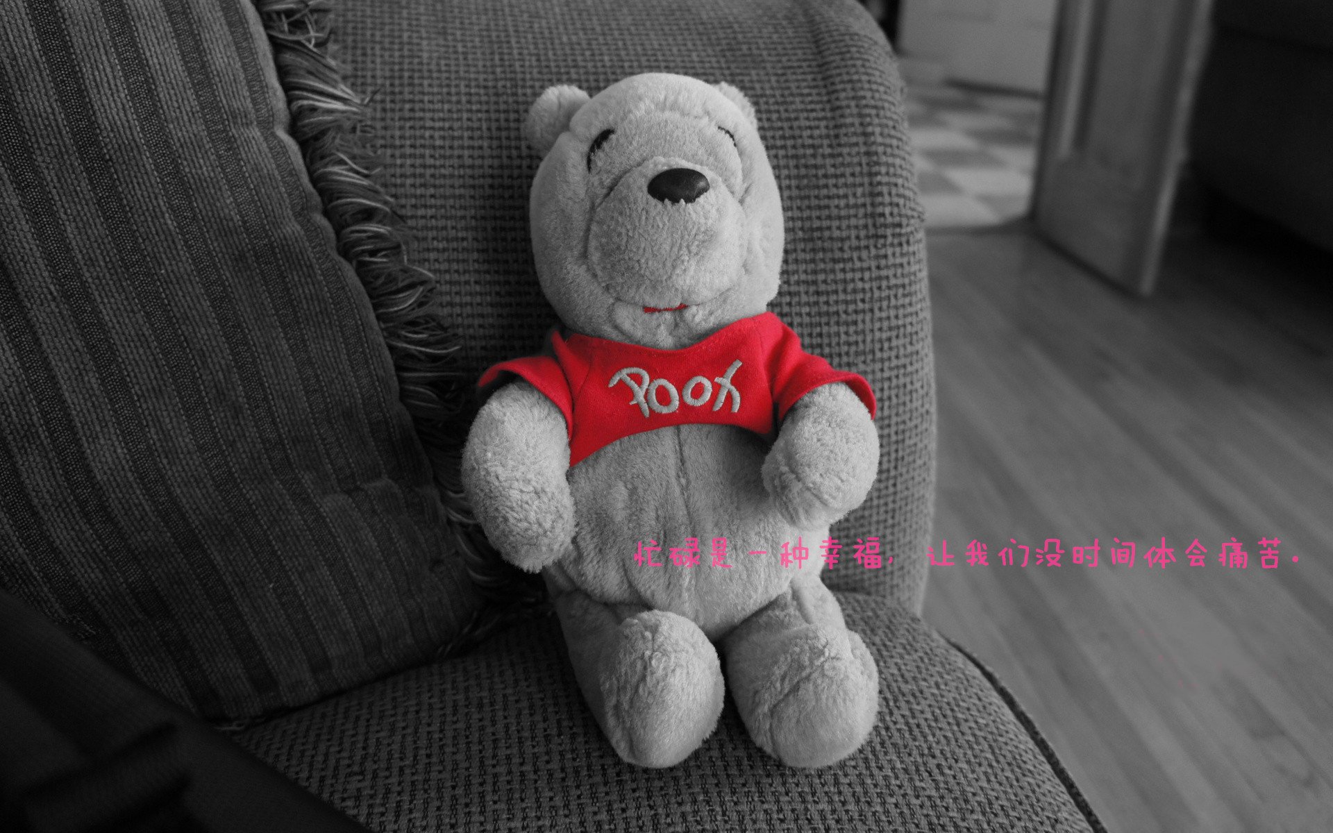 浙江队对阵掘金,杜兰特节奏完全掌控,演绎篮球艺术