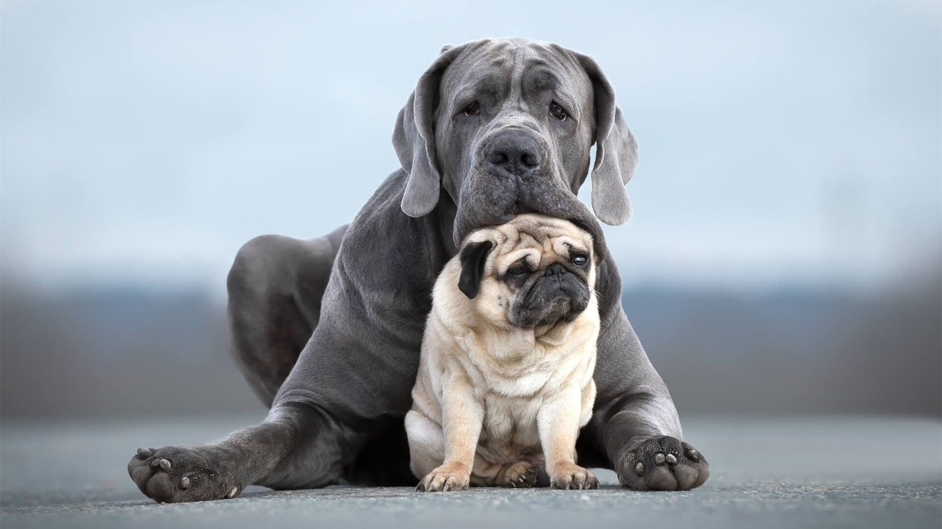 压抑的火山终炸裂纽约，重压下哈登用行动击碎所有质疑
